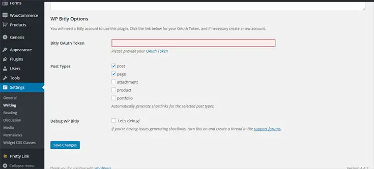 WP bitly settings